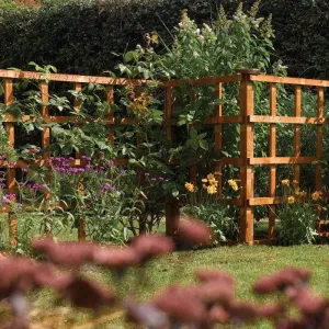 6ft x 5ft Heavy Duty Trellis Dip Treated